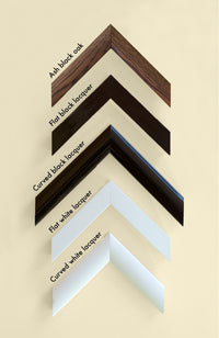 St Andrews - Pullman Editions